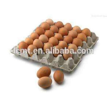 custom-made high-top chicken egg carton for sale